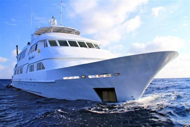 Mv Nautilus Belle Amie Liveaboard Review Mexico Dive Boat Reviews