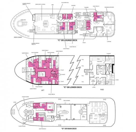 ss thorfinn deck plan liveaboard review