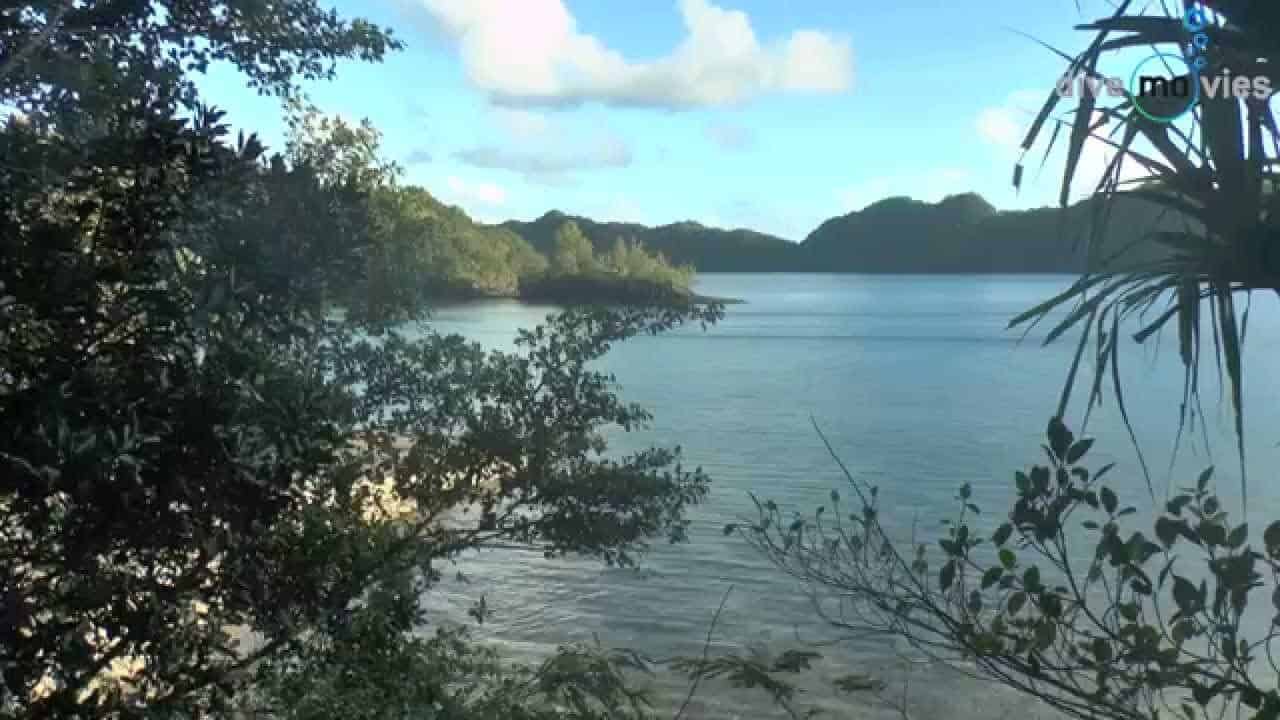 SY Palau Siren