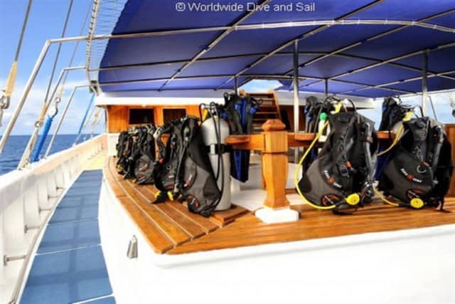 sy palau siren saloon dive deck liveaboard review