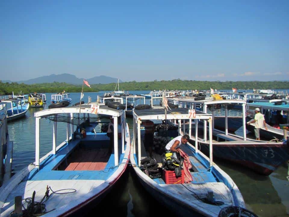 Ocean Dreams Pemuteran — Dive Center Reviews – Bali, Indonesia, Bali, Gilimanuk, Indonesia