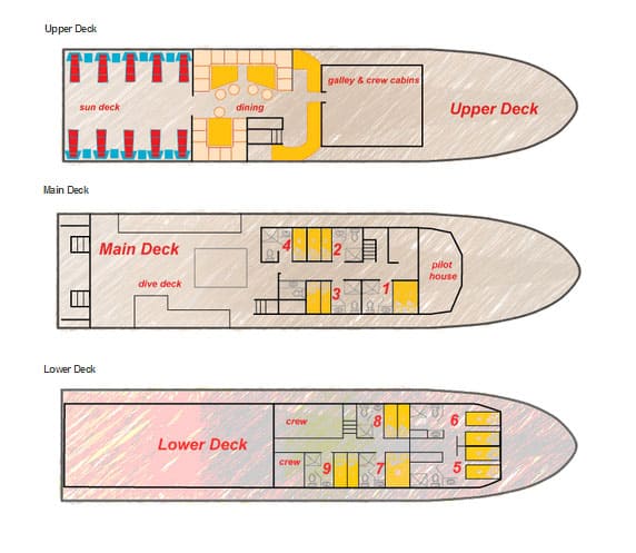 mv caribbean explorer ii floor plan liveaboard review