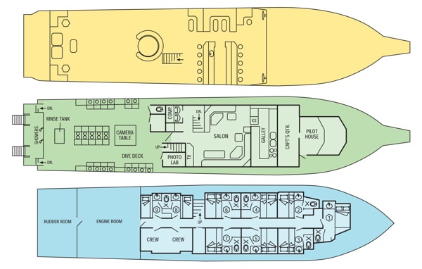 mv cayman aggressor iv floor plan liveaboard review