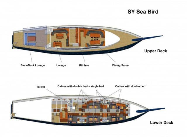 sy sea bird floor plan liveaboard review