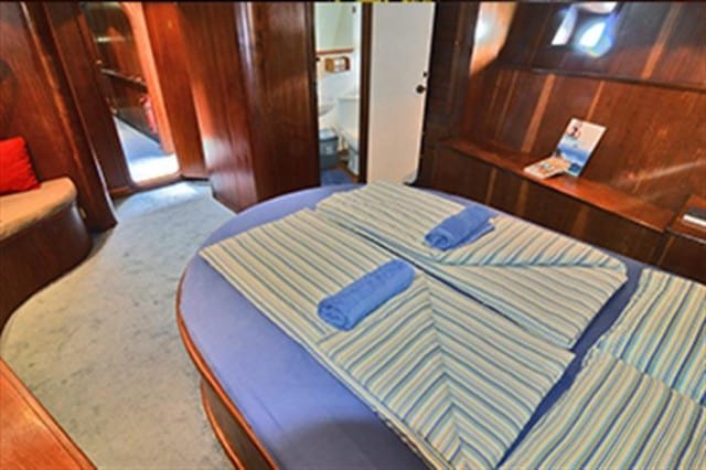 sy sea star cabin ii liveaboard review