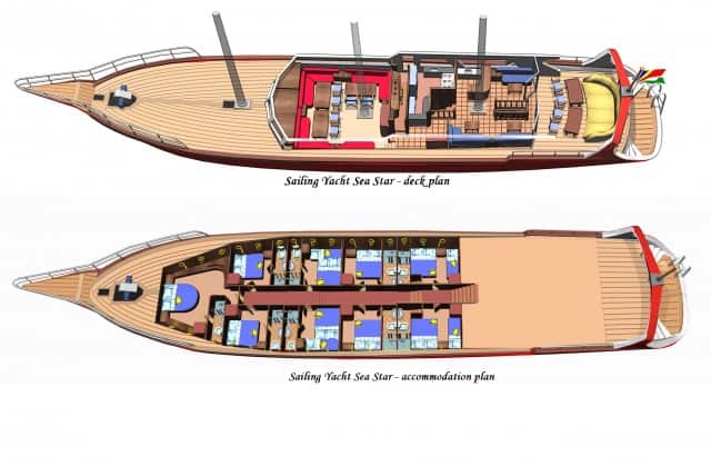 sy sea star floor plan liveaboard review
