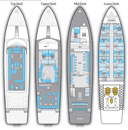 mv blue melody floor plan liveaboard review