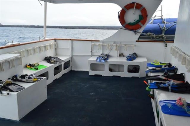 mv astrea dive deck liveaboard review