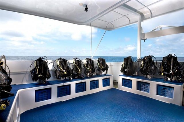 mv galapagos master dive deck liveaboard review