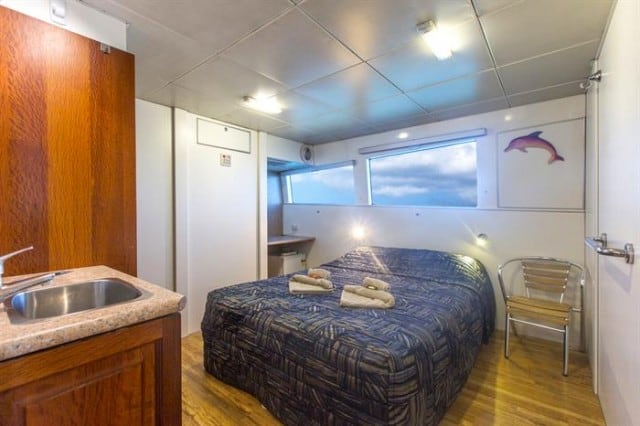 mv odyssey deluxe double cabin homer liveaboard review