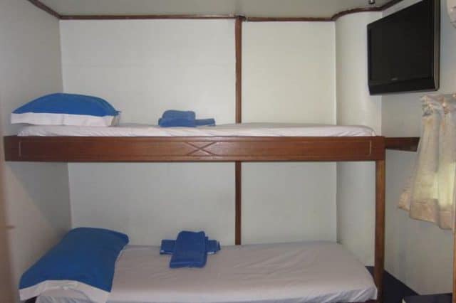 mv maldiviana twin bunk cabin liveaboard review