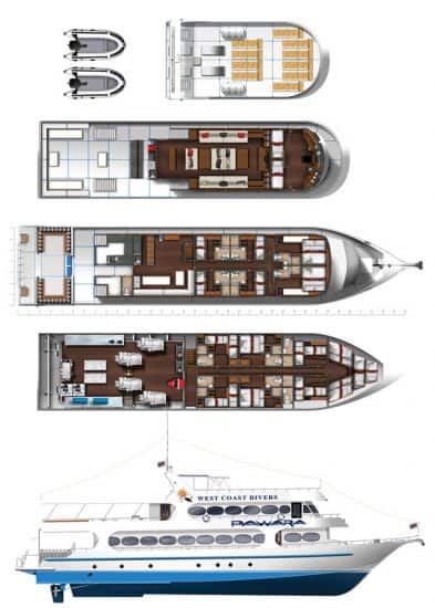 mv pawara deck plan liveaboard review