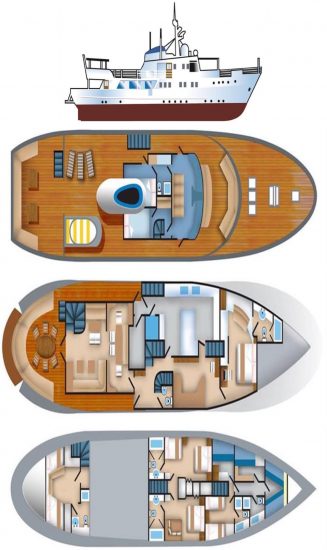 mv pelagian deck plan liveaboard review