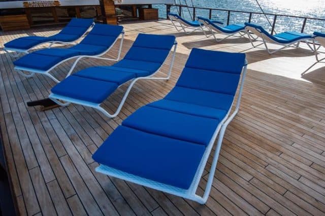 mv samambaia sun deck liveaboard review