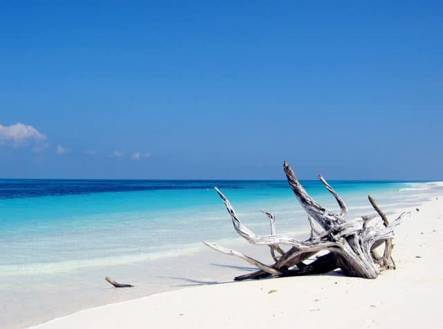 scuba diving in the seychelles