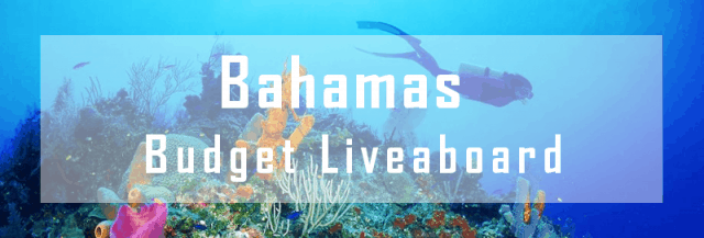 budget liveaboard bahamas