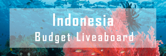 budget liveaboard indonesia