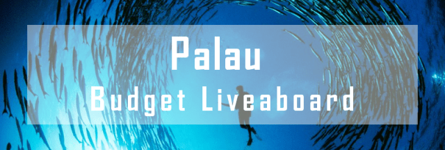 budget liveaboard palau micronesia diving