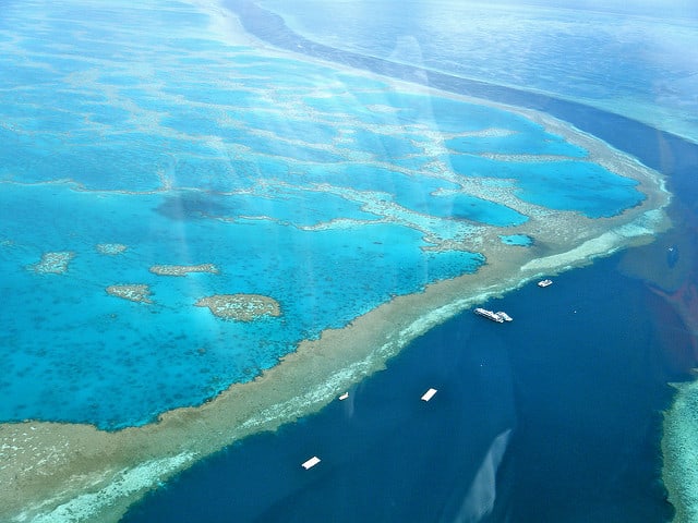 diving cruise on the great barrier reef