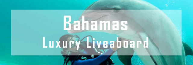 luxury liveaboard bahamas