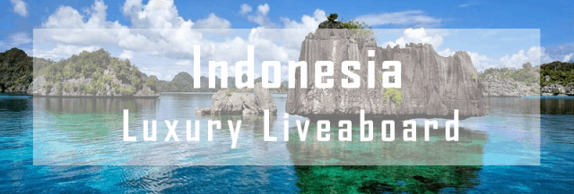 luxury liveaboard indonesia