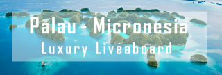 luxury liveaboard palau micronesia diving
