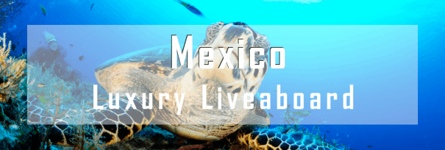 luxury liveaboard mexico diving cruise