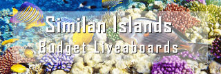 cheap budget liveaboard in the similan islands