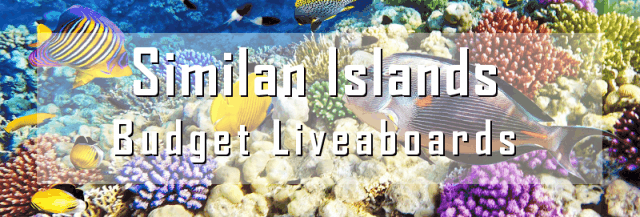 cheap budget liveaboard similan islands