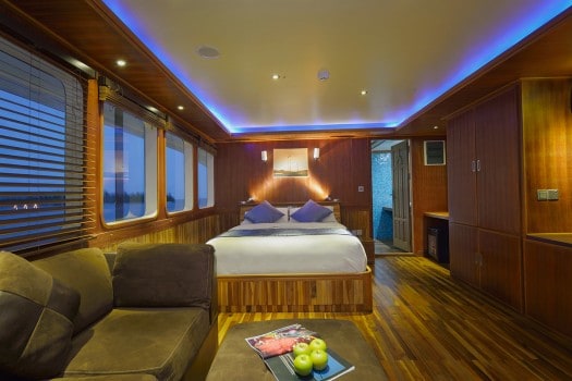 master cabin maldives princess liveaboard diving cruise