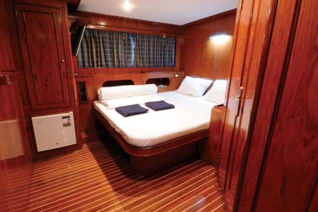 suite cabin blue horizon liveaboard red sea diving cruise