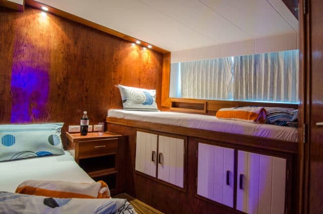twin cabin on the blue planet 1 liveaboard