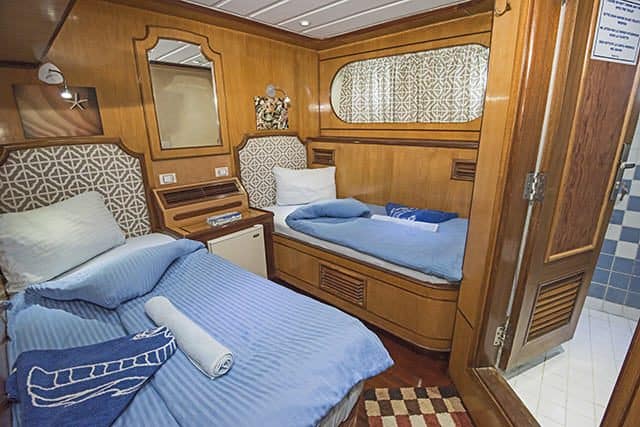 grand sea serpent liveaboard red sea cabin