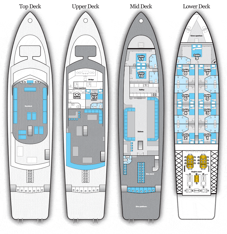 deck plan my blue fin liveaboard red sea egypt