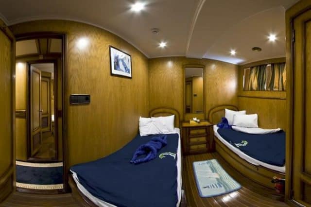 twin cabin my excellence liveaboard red sea diving