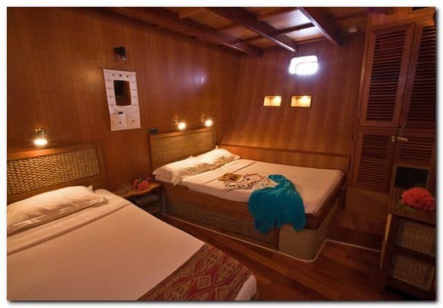 ocean divine liveaboard diving maldives cabin