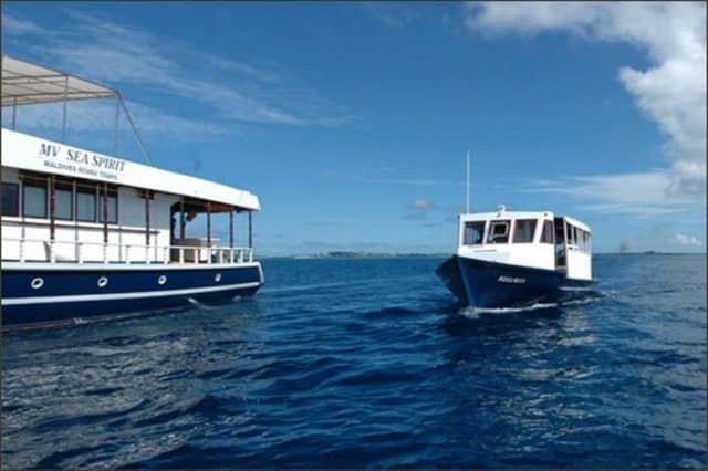 sea spirit liveaboard maldives 