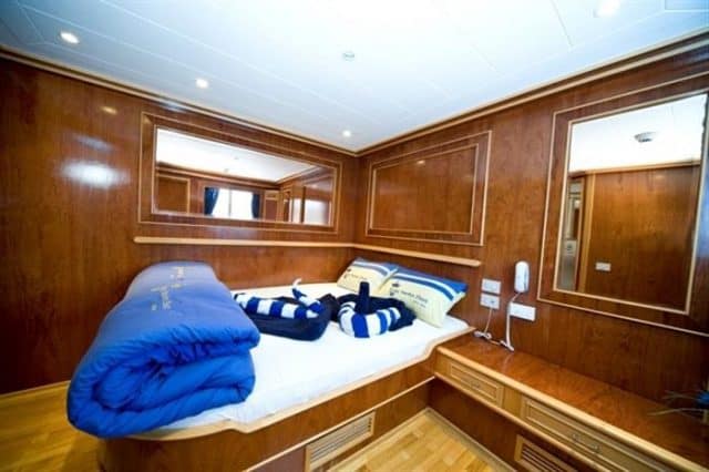 cabin snefro target liveaboard diving red sea 