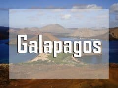 galapagos islands vignette liveaboard diving destination