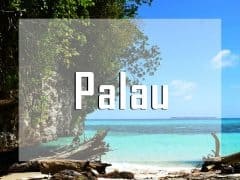 palau micronesia vignette liveaboard diving destination