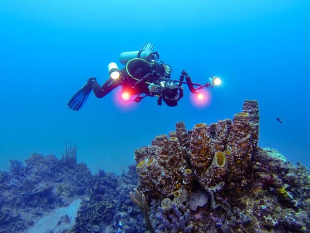 Saba diving