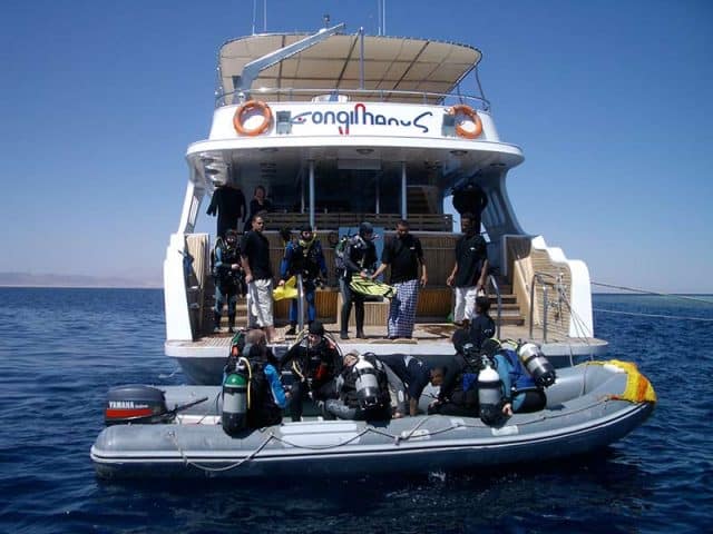 longimanus liveaboard diving red sea