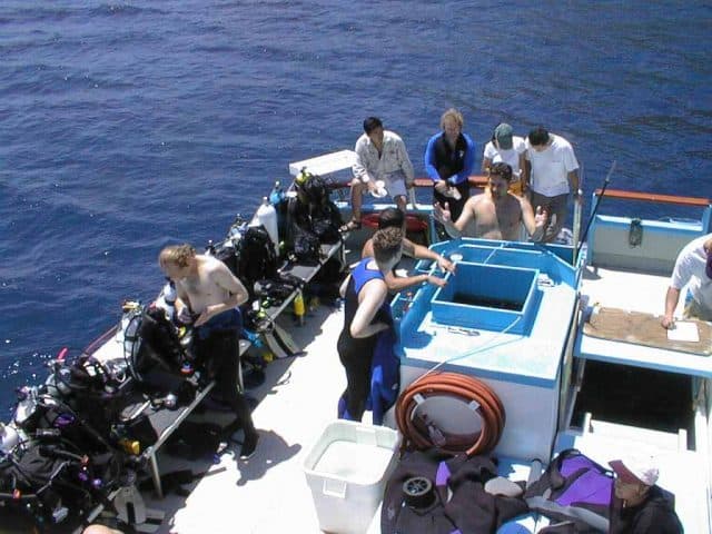 great escape liveaboard diving california channel islands