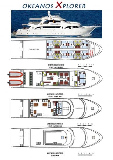 okeanos xplorer liveaboard diving red sea