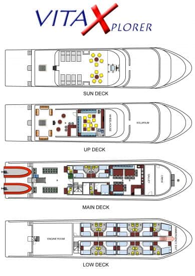 vita xplorer liveaboard diving red sea 