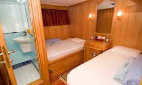 cabin whirlwind liveaboard tornado marine fleet red sea diving 