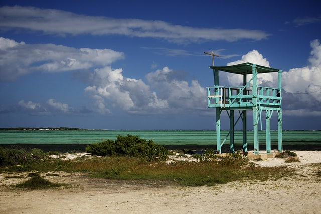 Bonaire capitale delle immersioni a terra