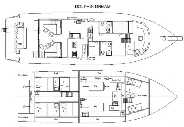 my dolphin dream liveaboard review – bahamas, caribbean