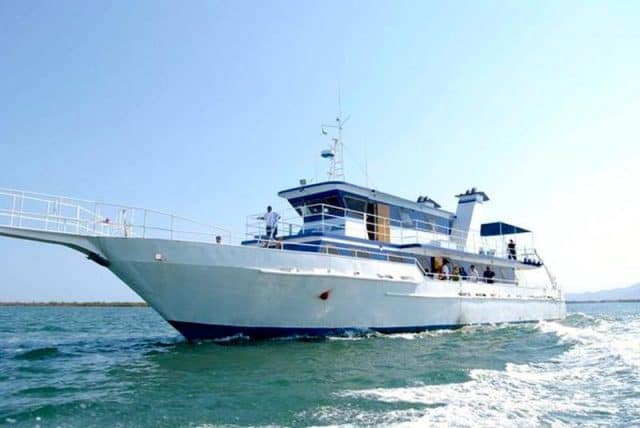 Narval Liveaboard Review Mexico Sea Of Cortez Dive Boat Reviews