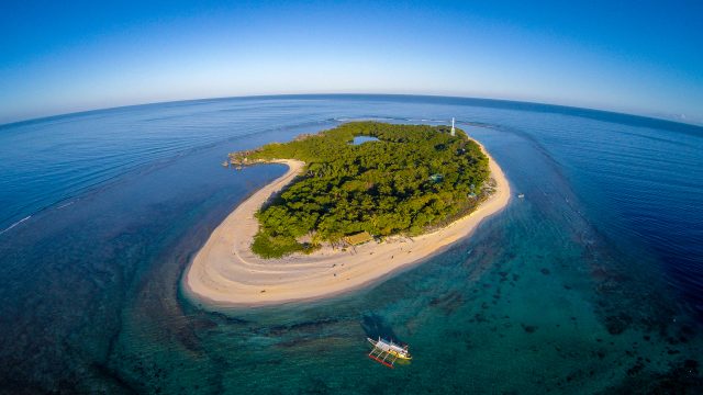 apo reef island rags 2 liveaboard diving philippines 